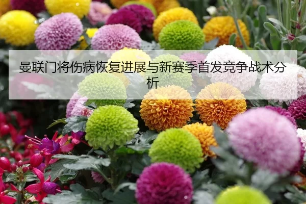man-lian-men-jiang-shang-bing-hui-fu-jin-zhan-yu-xin-sai-ji-shou-fa-jing-zheng-zhan-shu-fen-xi-2-413.jpg